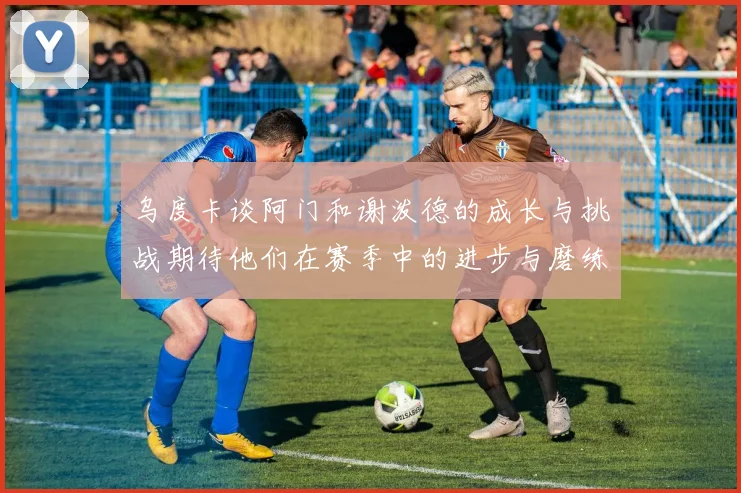 乌度卡谈阿门和谢泼德的成长与挑战期待他们在赛季中的进步与磨练